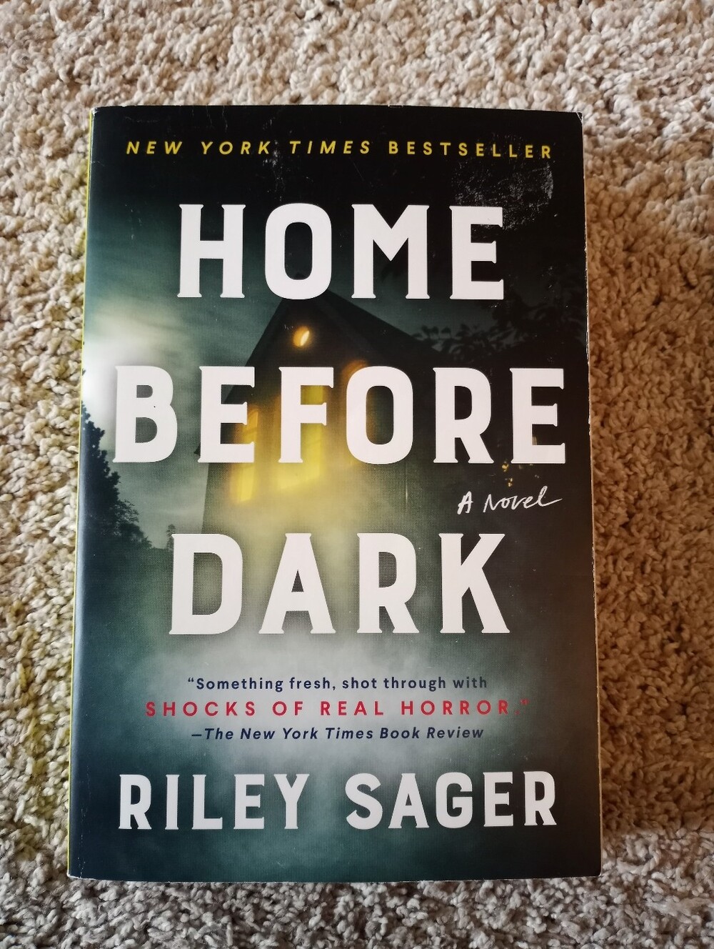 Home Before Dark Book By Riley Sager